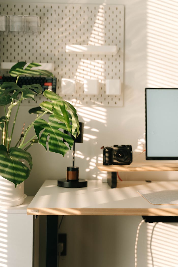 our-services-3 A serene workspace with sunlight, lush plant, modern desk, and tech setup, perfect for minimalistic productivity.